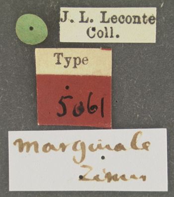Media type: image;   Entomology 5061 Aspect: labels